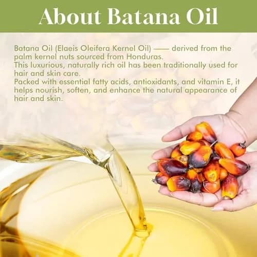 Dolahair Pure Batana Oil for Hair & Scalp 60ml (2.03 Fl Oz) | Natural Kernel Oil for Dry Hair Softness & Shine thumbnail 4
