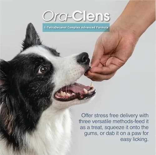 Ora-Clens 1-TDC Softgels for Dog & Cat | Oral & Joint Support (100 words) thumbnail 6