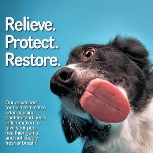 Ora-Clens 1-TDC Softgels for Dog & Cat | Oral & Joint Support (100 words) thumbnail 2