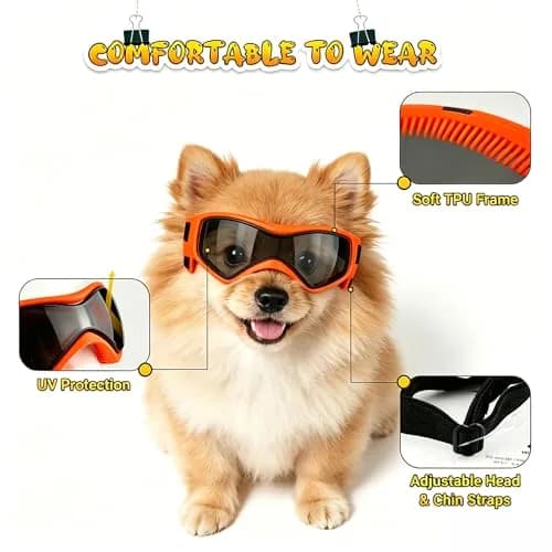 PETLESO XS Dog Goggles Chihuahua Glasses 3.74 in (9.5 cm) | Anti-UV Eye Protection for Tiny Dogs & Cats thumbnail 3