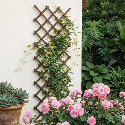 Tilinyan & one Expandable Wooden Lattice Panels 2.54cm x 226cm (38''x 89'') | Rustic Garden Trellis for Climbing Plants thumbnail 6