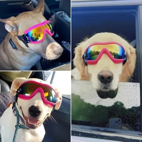 Enjoying Neon Pink Dog Goggles for Large Breeds | UV Protection, Windproof, Adjustable thumbnail 2