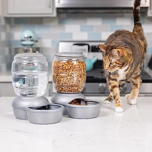 Petmate Replendish Gravity Waterer 0.5 Gallon (1.89 L) Blue Pack of 6 | Continuous Filtered Water Supply for Dogs and Cats thumbnail 8