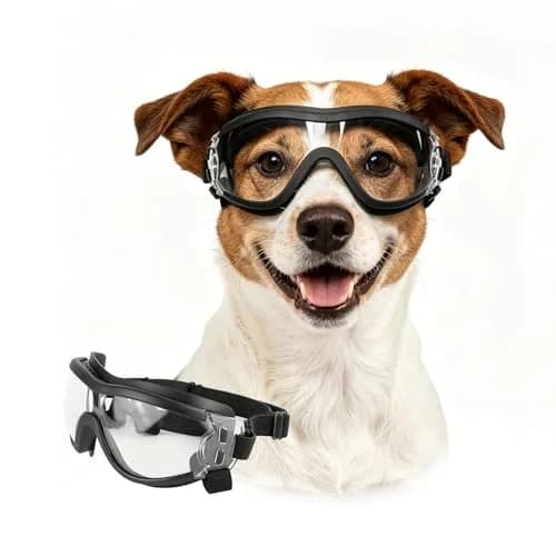 Enjoying Gloss Clear Dog Goggles for Medium Breeds with UV Protection thumbnail 1