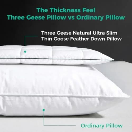 Three Geese Ultra Thin Flat Goose Down Feather Pillow King Size 91cm (36 Inches) | OEKO-TEX Certified Cotton Cover thumbnail 3