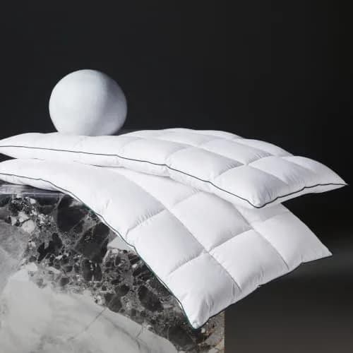 Three Geese Ultra Thin Flat Goose Down Feather Pillow Set of 2 | 2.5" Height, 100% Cotton Cover, Ergonomic Support for Sleep & Travel thumbnail 1