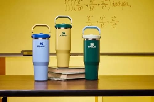 STANLEY IceFlow 2.0 Flip Straw Tumbler, 20 oz (590 ml) | Sip Faster, Spill Less thumbnail 6