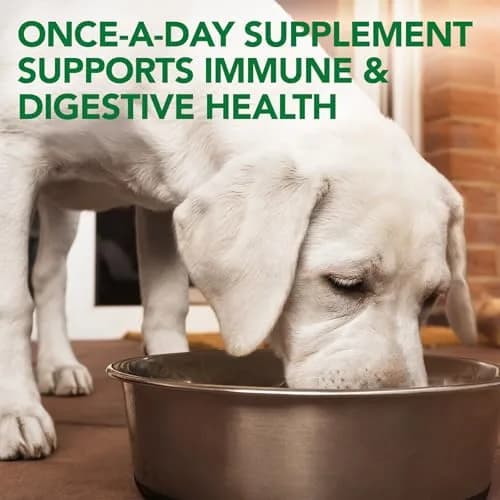 Vet’s Best Probiotic Soft Chews for Dogs 180 Count | Supports Digestive & Immune Health thumbnail 4