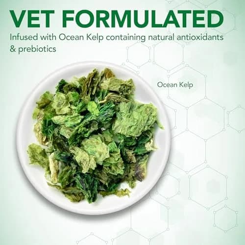 Vet’s Best Probiotic Soft Chews for Dogs 180 Count | Supports Digestive & Immune Health thumbnail 3