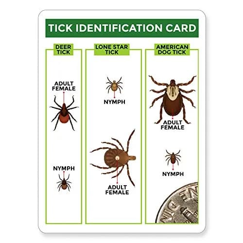 TickCheck Tick Remover Value 3 Pack with ID Card | 3 Sets thumbnail 4