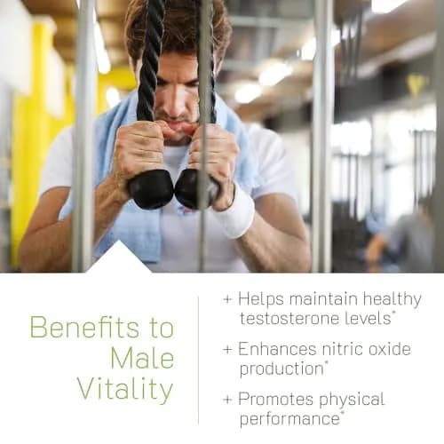 Irwin Naturals Testosterone UP RED with Nitric Oxide Booster | 60 ct 2-Pack thumbnail 3