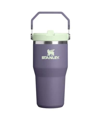 STANLEY IceFlow 2.0 Flip Straw Tumbler with Handle 20 oz (591 mL) | Insulated Stainless Steel, Leakproof, BPA-Free thumbnail 1