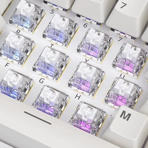 Mciepny Zhouwang 30pcs Keyboard Switches | Clicky, Durable, Compatible with Most Keycaps thumbnail 4