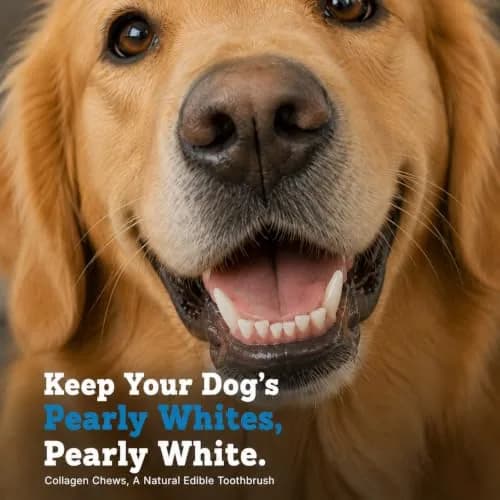 Jack&Pup Collagen Sticks for Dogs 25 Count | Long Lasting Beef Collagen Chews thumbnail 5