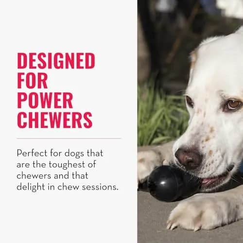 KONG Extreme Goodie Bone Most Durable Natural Rubber Dog Bone for Power Chewers - Black - Medium Dogs (Pack of 2) | Vet-Recommended for Aggressive Chewers thumbnail 1