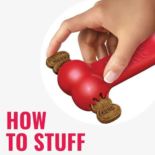 KONG Goodie Bone Classic Durable Natural Rubber Dog Bone 2-Pack | Supports Mental Engagement & Treat Dispensing thumbnail 4