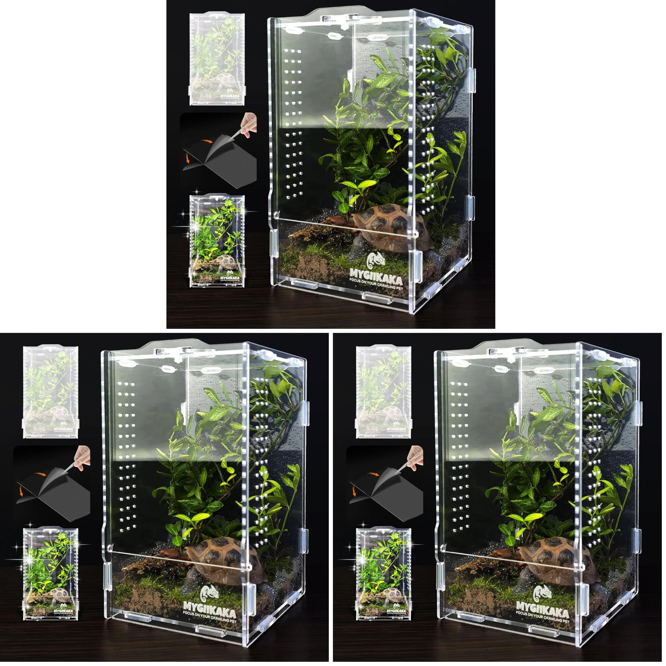 MYGIIKAKA Acrylic Jumping Spider Habitat, Insect Terrarium, Bug Enclosure, Praying Mantis Habitat, Frog Enclosure (Pack of 3)