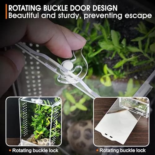 MYGIIKAKA Acrylic Jumping Spider Habitat, Insect Terrarium, Bug Enclosure, Praying Mantis Habitat, Frog Enclosure (Pack of 3) thumbnail 5