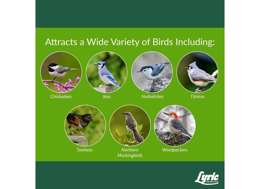 Lyric Woodpecker Wild Bird Seed Mix 2.27 kg (5 lb) | No-Waste Fruit & Nut Blend for All Wild Birds - main product image