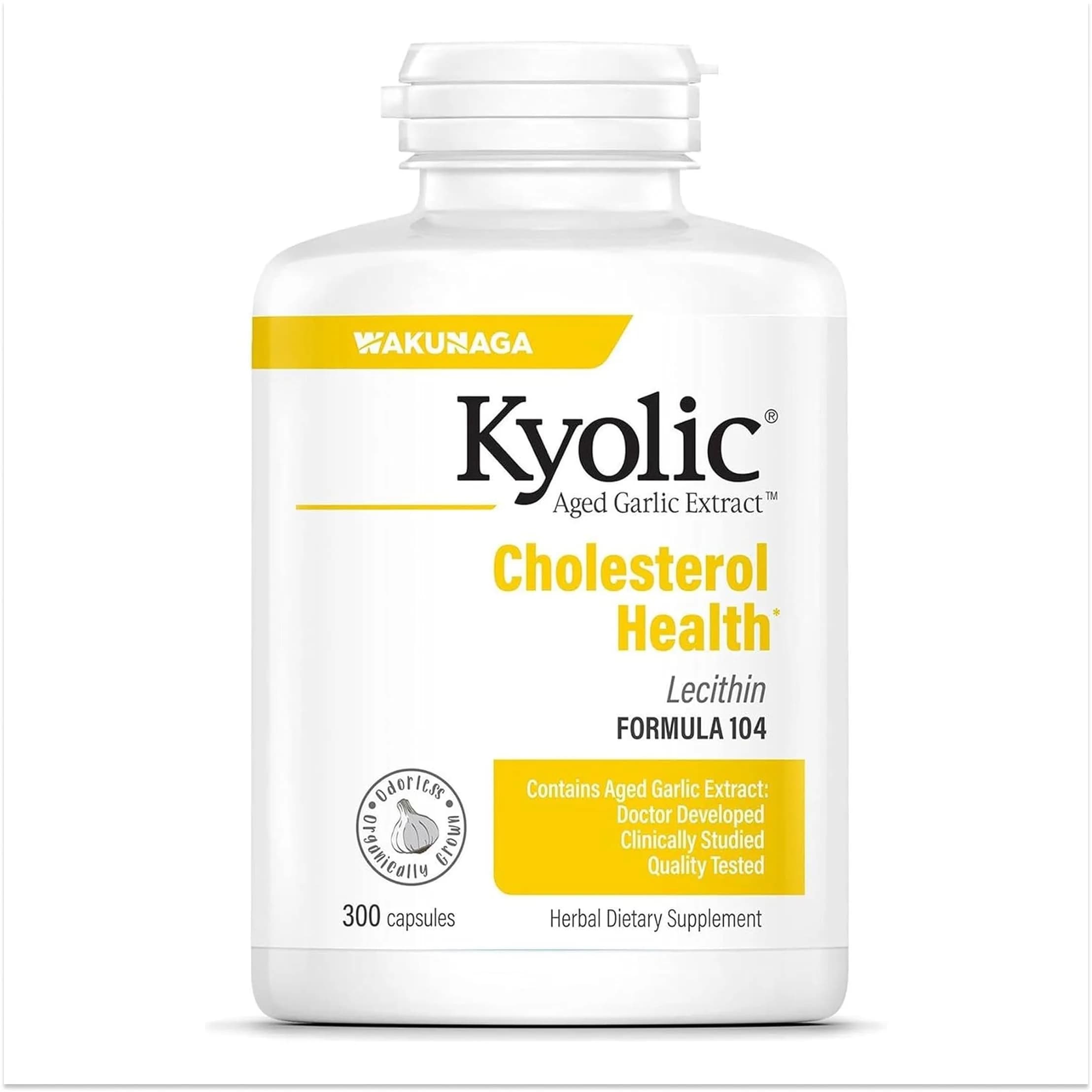 Kyolic Aged Garlic Extract Formula 104, 300 Capsules - main product image