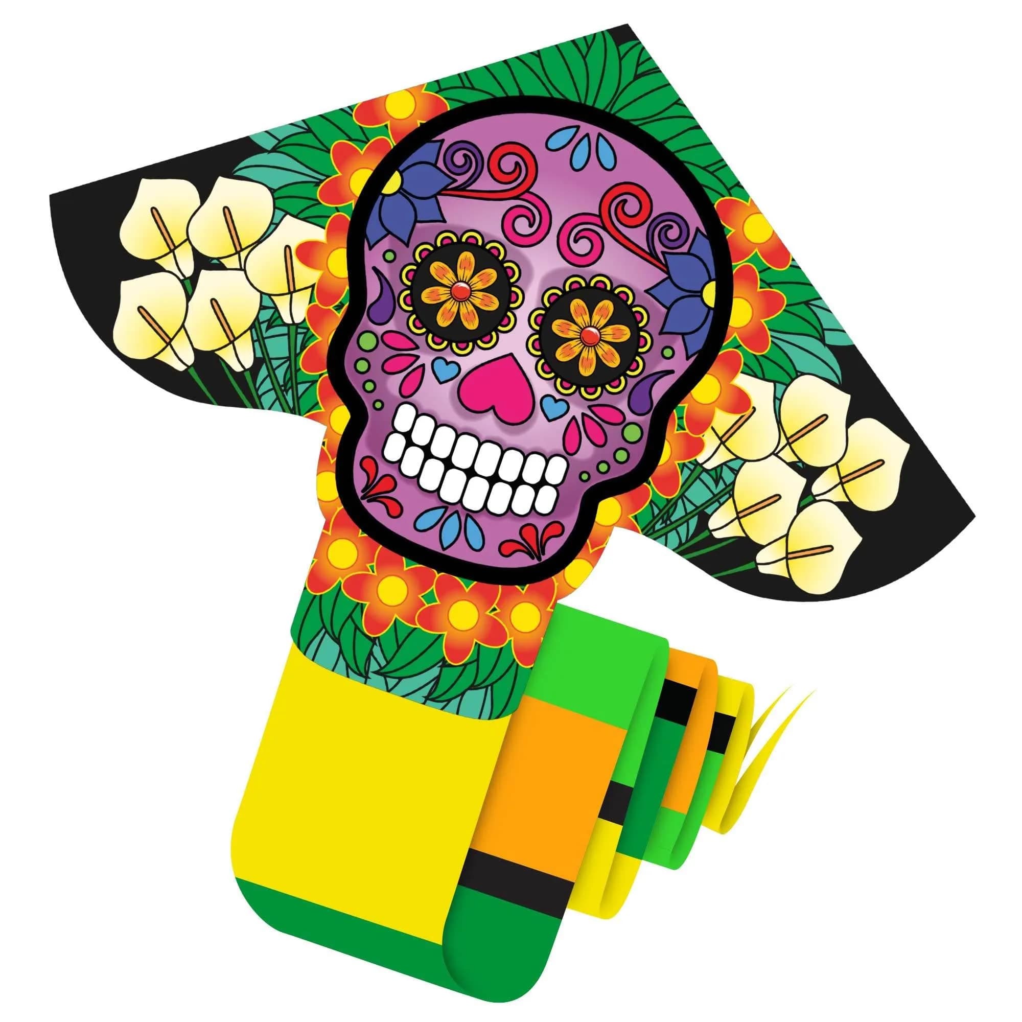 WindNSun Delta XLT Skull 40" Wide Deluxe Nylon Kite | Easy to Fly & Stable in Light Winds - main product image