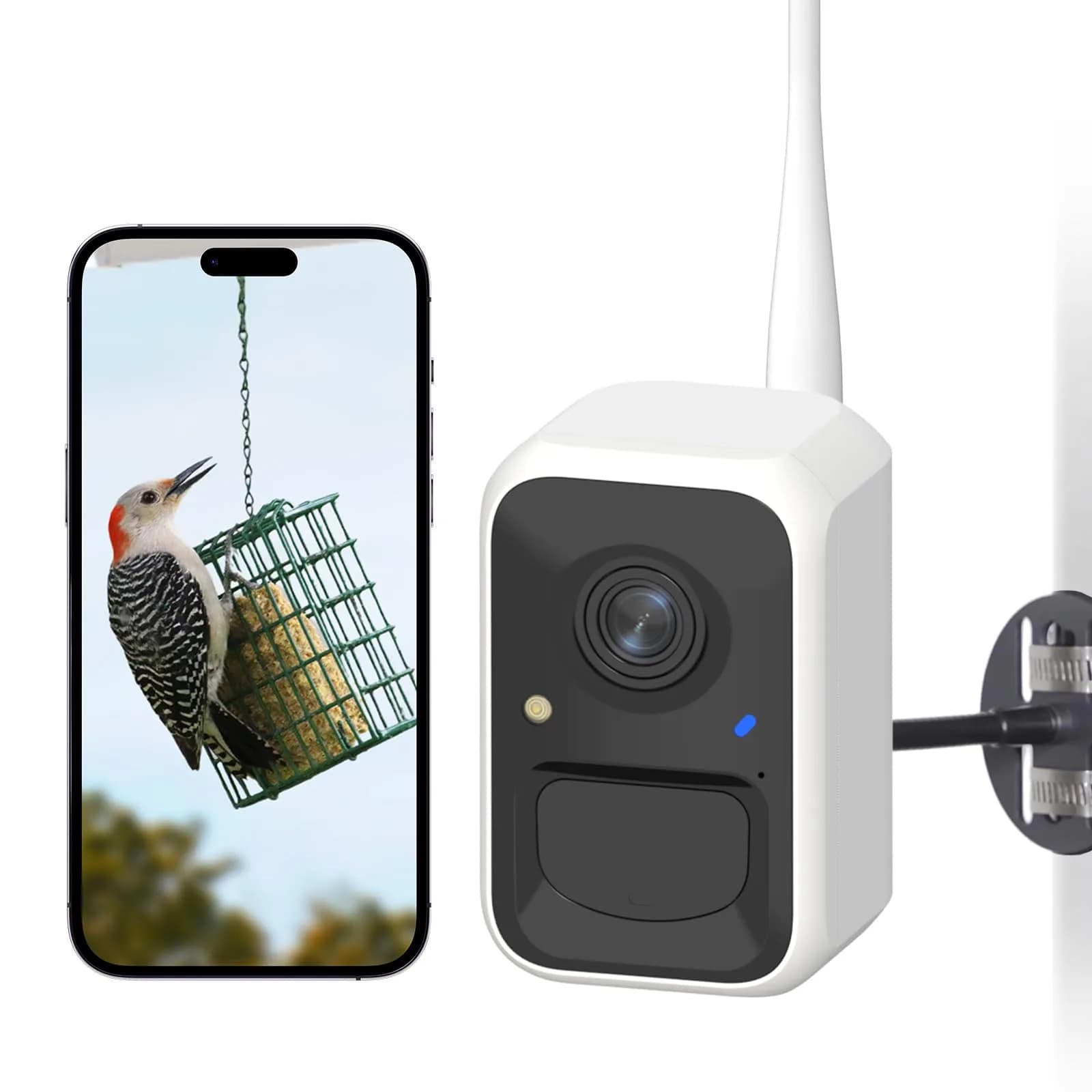 NETVUE Birdfy Smart Bird Camera with Adjustable Brackets | AI Bird ID & 6000+ Species - main product image